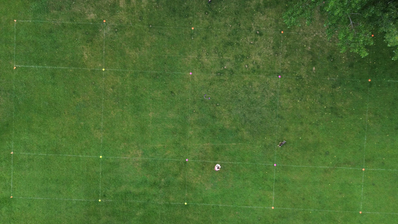 Leap Frog Example Game